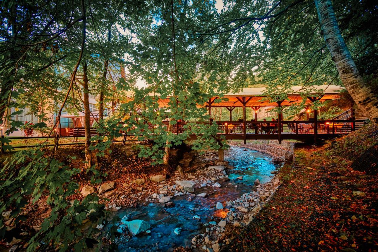 Hotel & Restaurant Sofia Сучевица Экстерьер фото