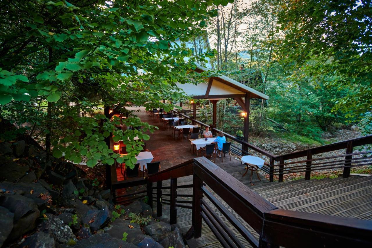 Hotel & Restaurant Sofia Сучевица Экстерьер фото